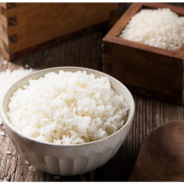명천 씻어나온 신동진 백미, 10kg(상등급), 1개