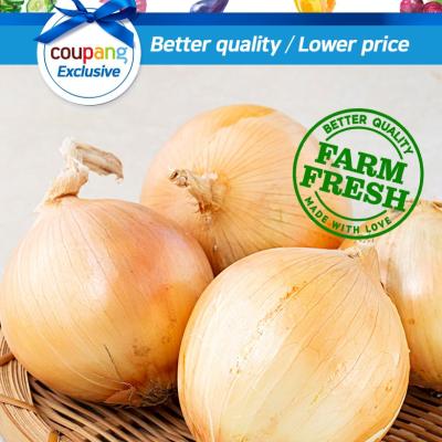 국내산 양파, 1.5kg, 1개